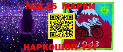 шишки Гатчина