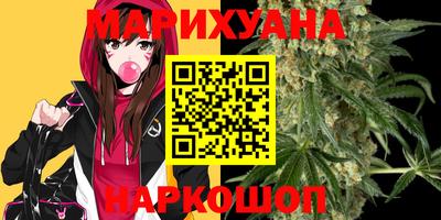 шишки Гатчина