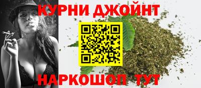 шишки Гатчина